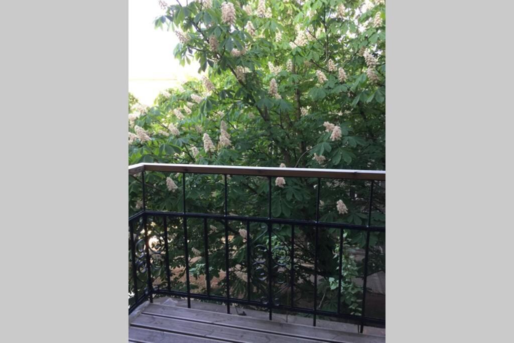 Huge Loft In Heart Of Tallinn Huoneisto Tallinna